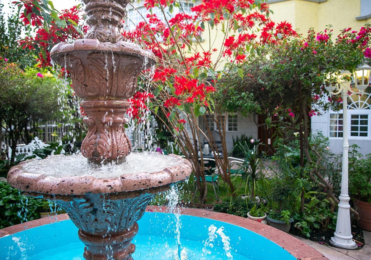 Casa San Pedro Bed and Breakfast México DF Exterior foto